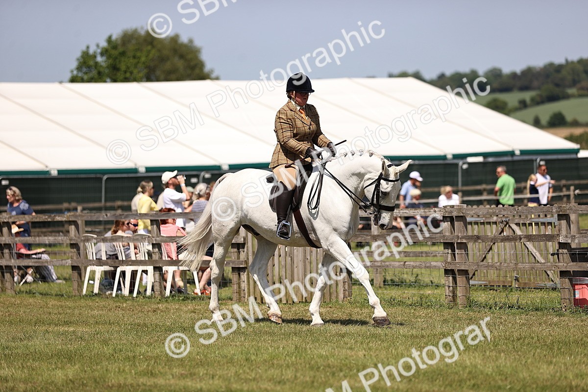 SBM_16205 - Class 79-80 - LIHS BSHA Rising Star Ridden Hunter