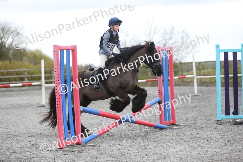 20260412-0589 - Show Jumping