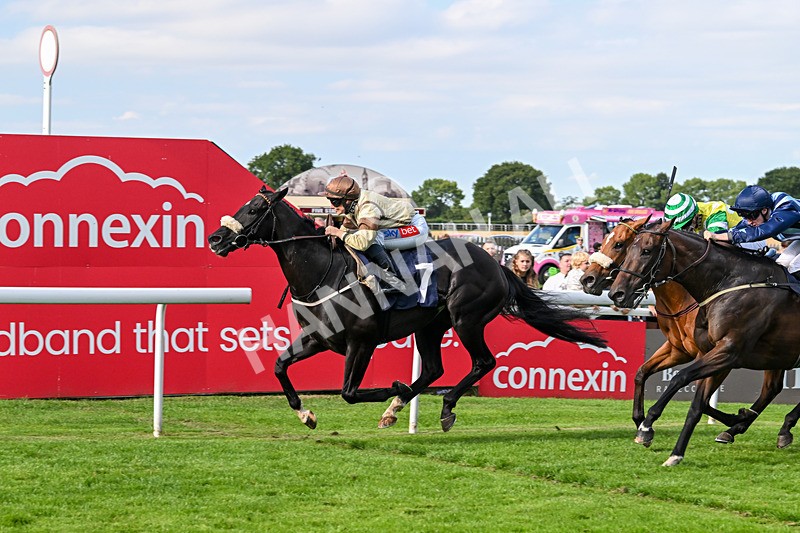 290725-Race 6-Jojo Rabbit-1022 - Race 6