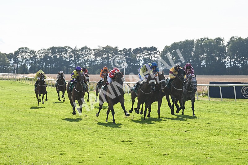 020825-Race 8-Dandy Dinmont-3880 - Race 8