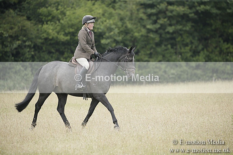 B230619-0664 - Bourne Valley Riding Club Summer Show 23/06/19
