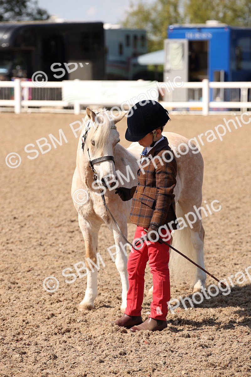 SBM_03066_Class 17 - Prettiest Mare - Cart - Samantha Norris