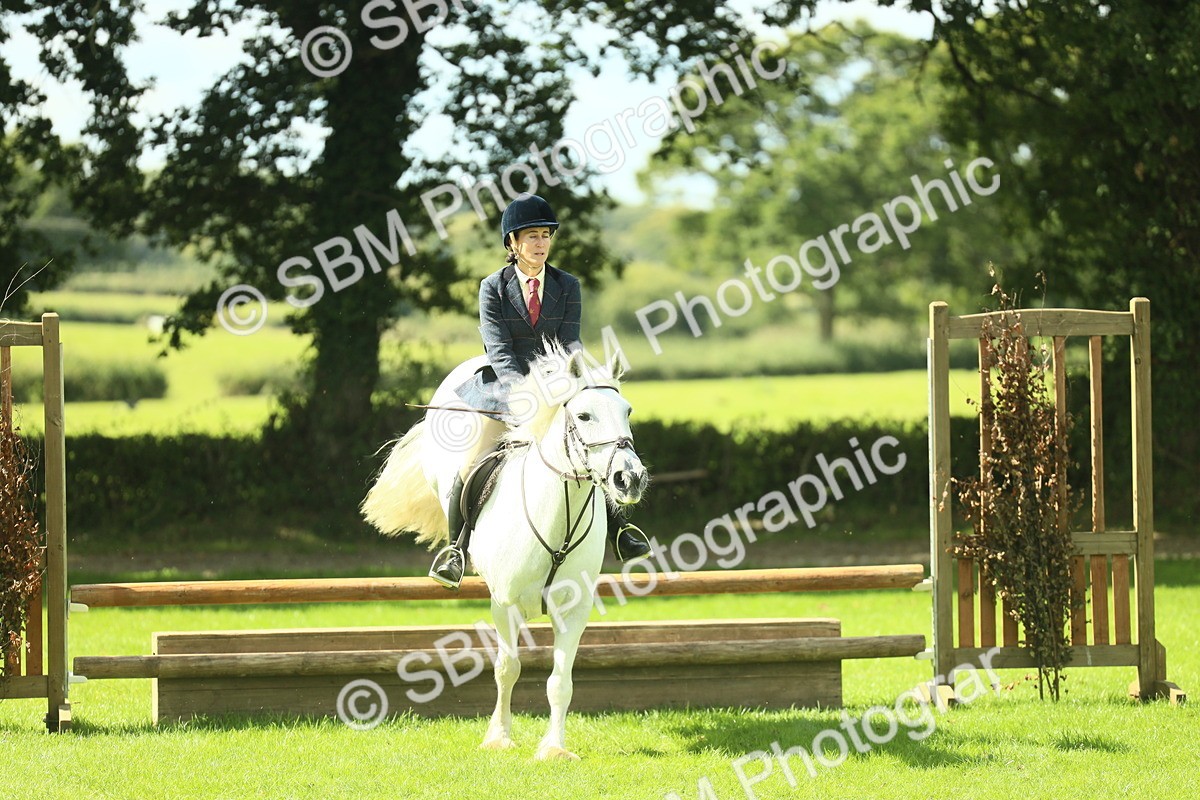 SBM_42926 - S30 - M&M Working hunter Pony
