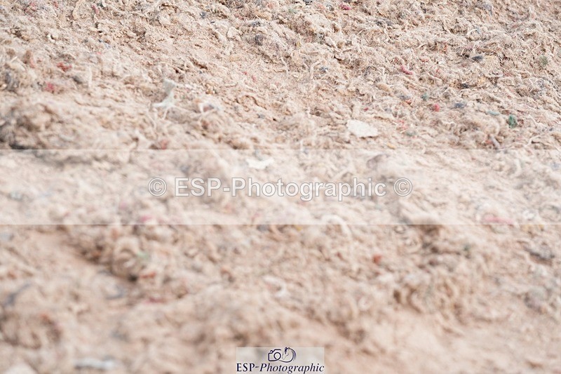 250511-094926-13017 - Cls 30 Snr British Novice and 90cm Open