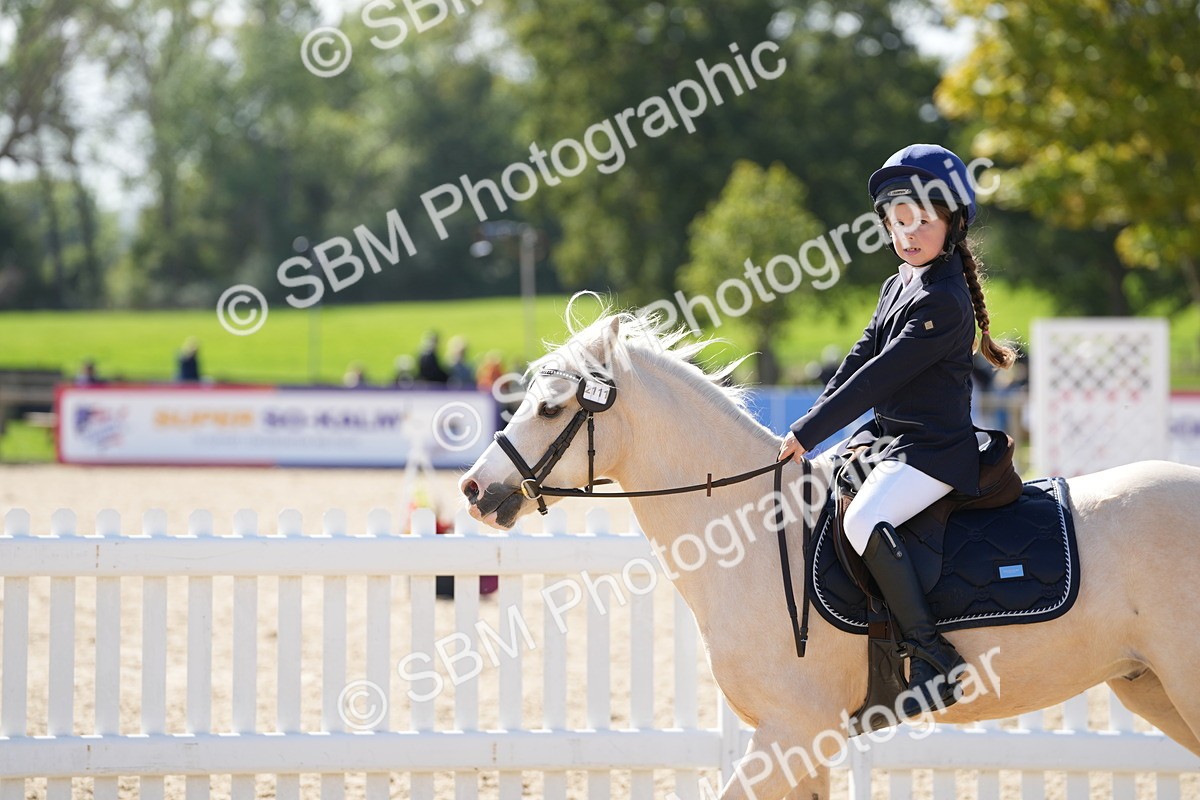 SBM_17970 - J58 - Clear Round 50cm