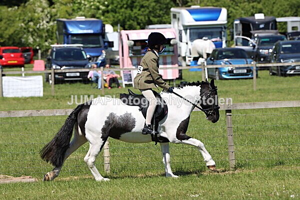 IMG_3939 - Working Hunter