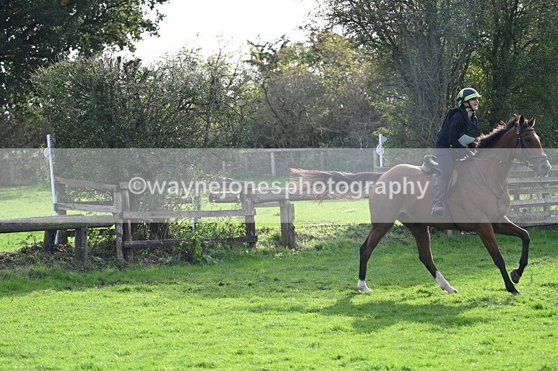 WJ7_0951 - Time 14:27 to 15:11