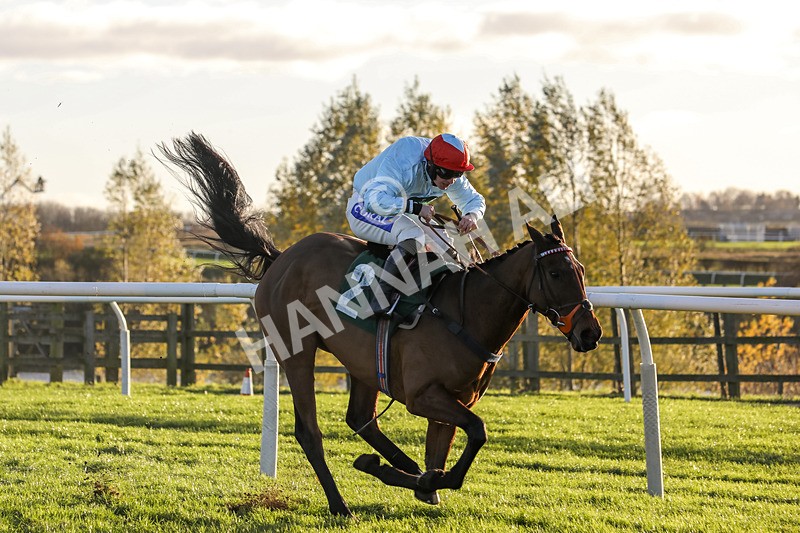 241123-Race 5-Bugise Seagull-1242 - Race 5