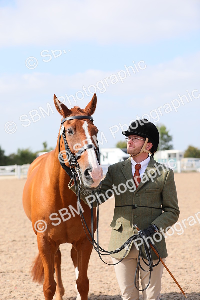 SBM_15757 - Class 312 IH Competition Horse/Pony