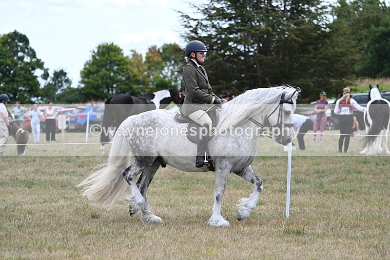 WJ7_4690 - Class 12 Ridden Cob