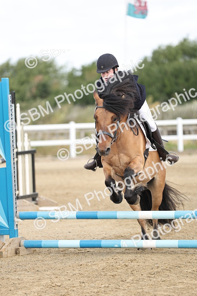 SBM_003501 - 50cm showjumping