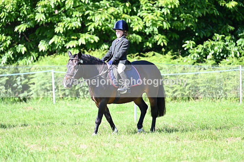 WJ7_0346 - Class 8 First Rally Pony