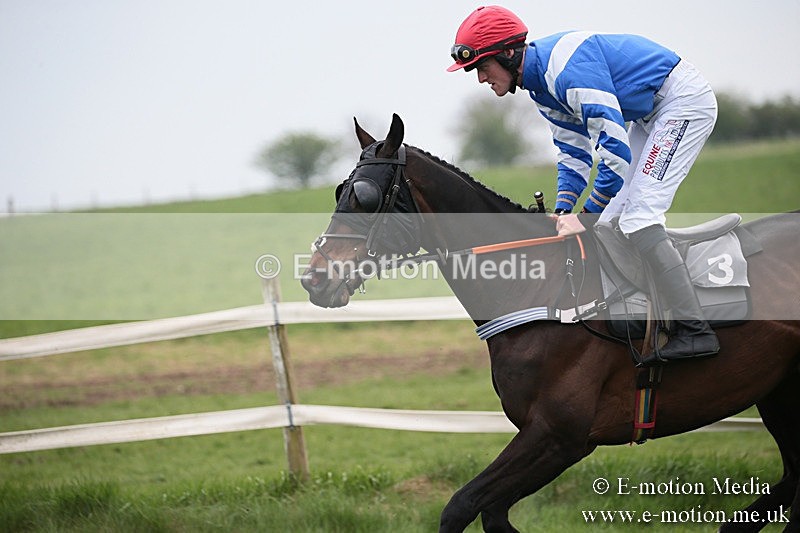 PtP 210418 58 - South & West Wilts Point-to-Point Larkhill 21/04/18