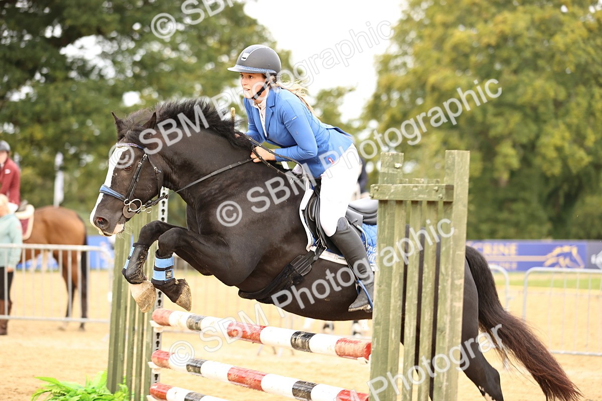 SBM_58271 - J41 - Grand Tour Horse & Pony 95cm