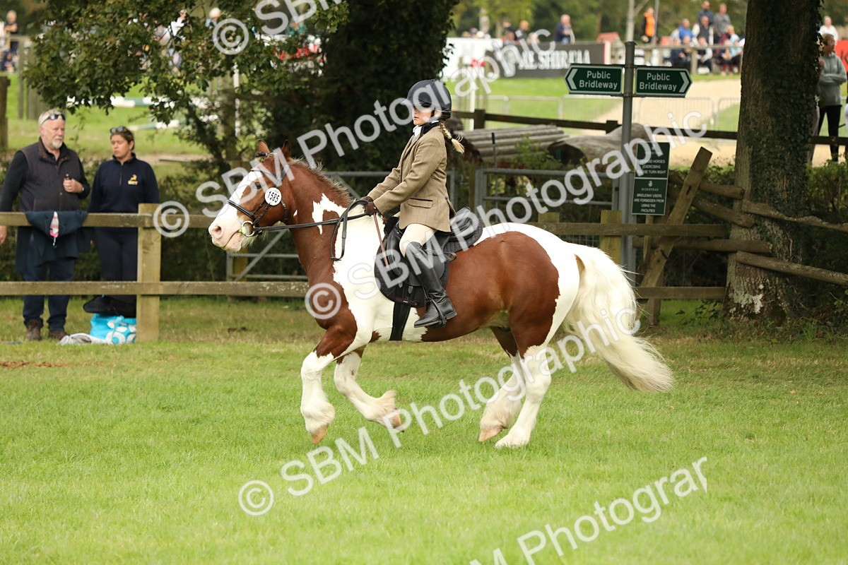 SBM_71710 - S41 - Ridden Equitation (Best Rider)