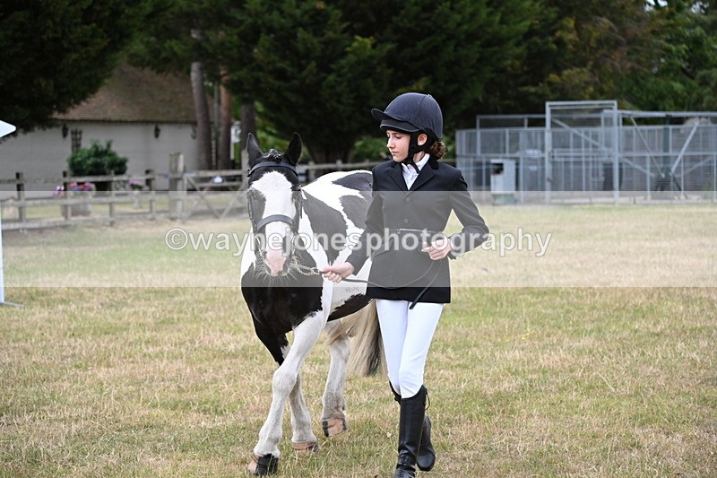 WJ6_4232 - Class 10 Coloured In-hand