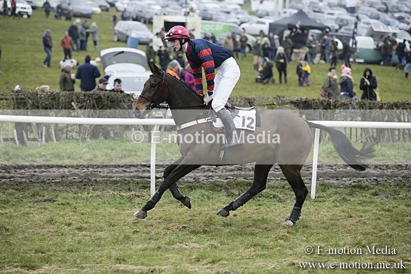 PtP 020418 -88 - Old Berks Point-to-Point Races Easter Monday 02/04/18