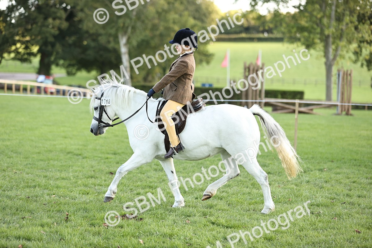 SBM_29475 - S7 - Novice & Newcomers Ridden Pony