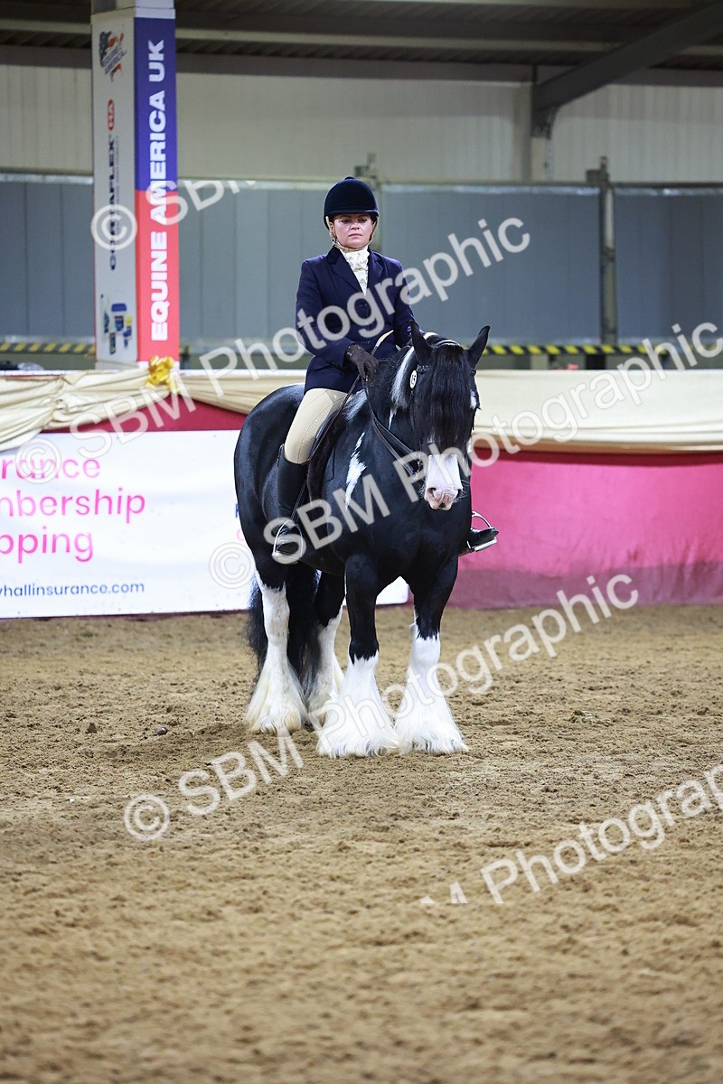 SBM_15417 - Class Q - Ridden Horse Champ