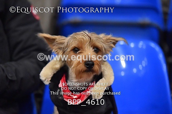 BPP_4610 - FRI CLASS 26 WINTER GRADES B&C QUALIFIER