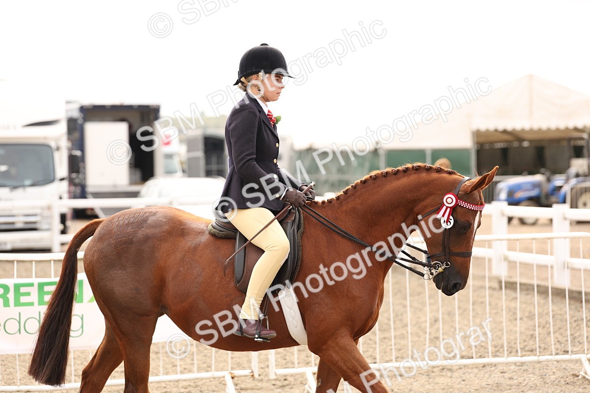 SBM_01615 - Class 52 - Ridden Veteran