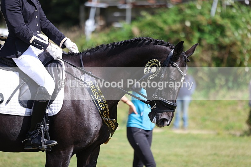 3E7A4635 - Presentations.