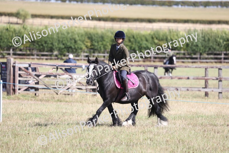 20260906-2172 - Class 16 - Family Pony