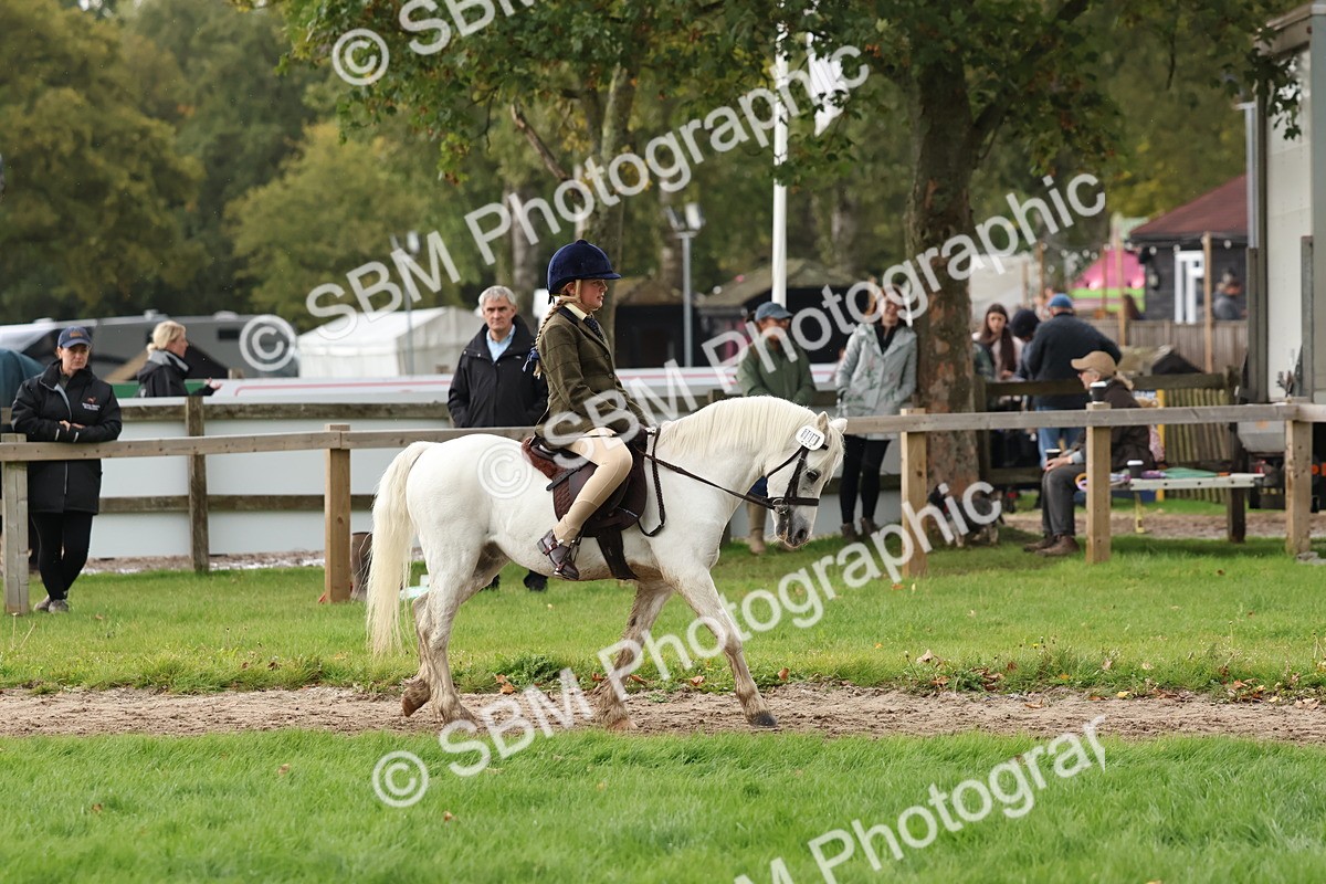SBM_44943 - S27 - Young Veteran Ridden