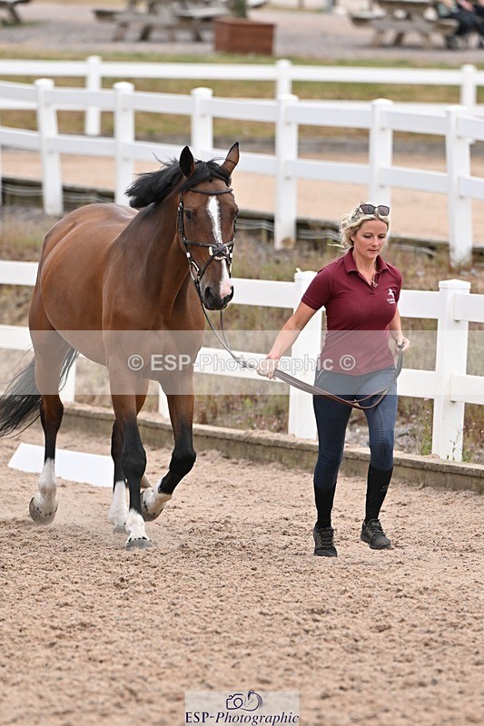 250716-143131-01166 - Trot Up 2.30 to 3.30