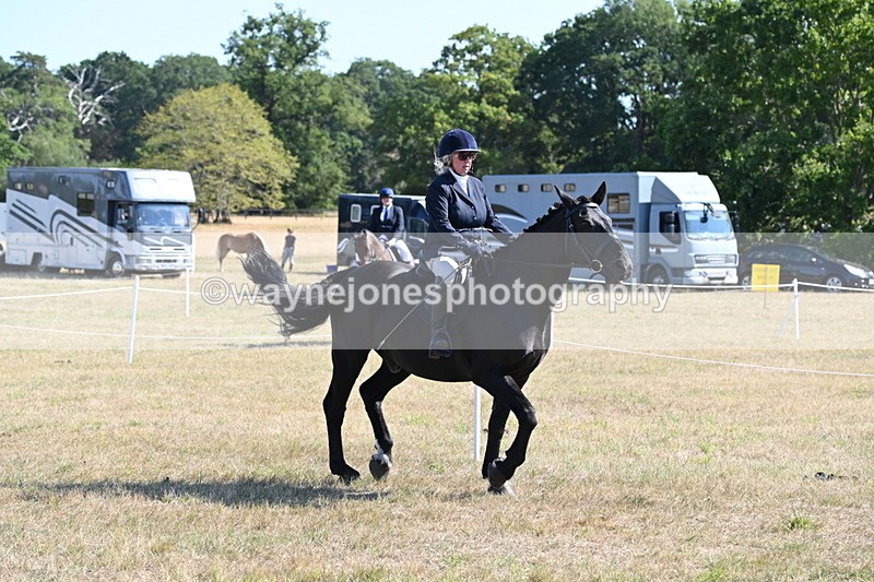 WJ6_7458 - Class 34 Judges Choice