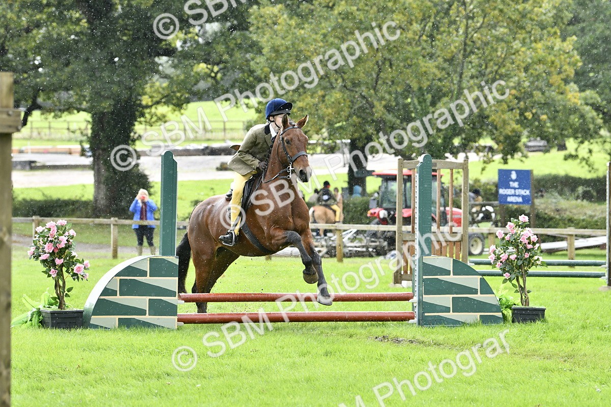 SBM_41412 - S32 - Mountain & Moorland Working Hunter Pony