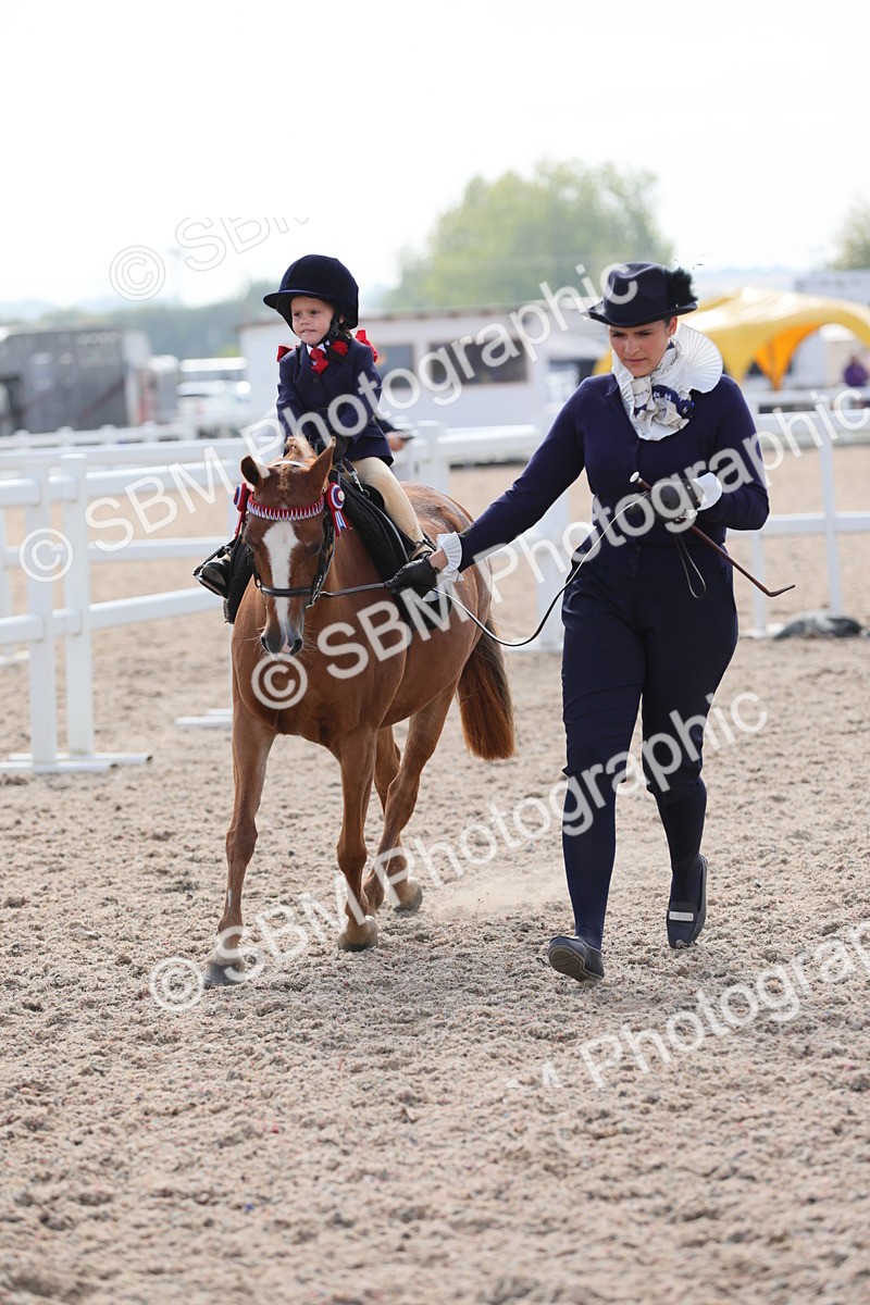 SBM_13999 - Class 309 Lead Rein Pony