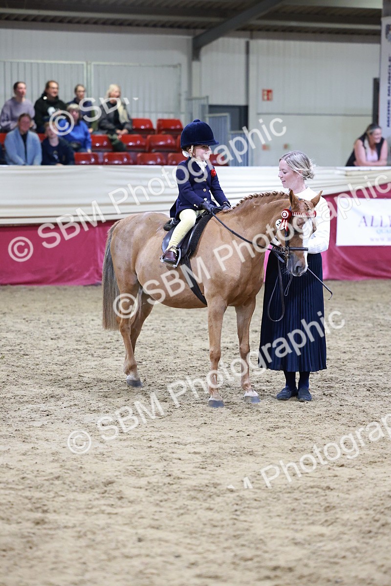 SBM_20569 - Class H - IH Competition - Riding Club champ