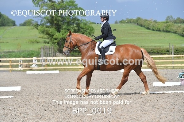 BPP_0019 - PRELIM 5 Q