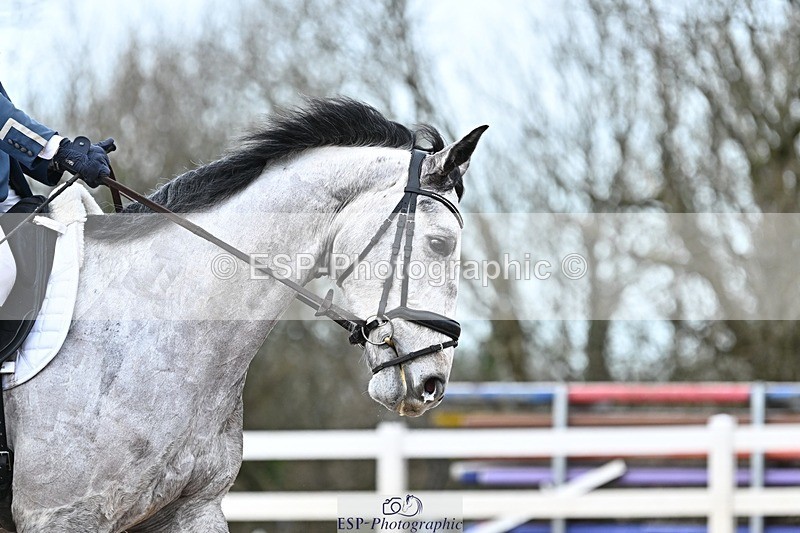 250125-141239-00782 - Dressage - CT Class 7 BE Novice 112