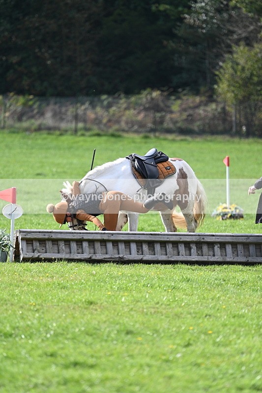 WJ7_3976 - 40cm Time 10:26 to 10:42