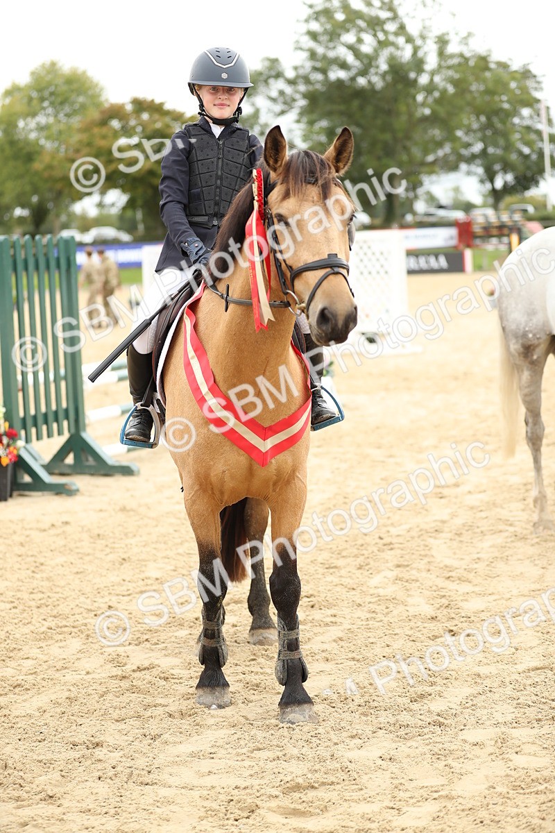 SBM_63169 - Supreme championship 75cm 80cm