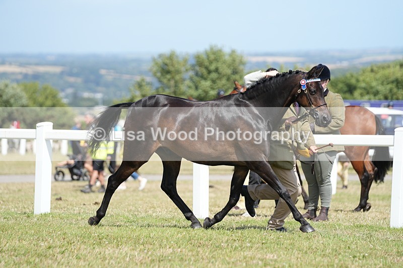 DSC07326 - Class 69: NPS Show Pony 4 years and over