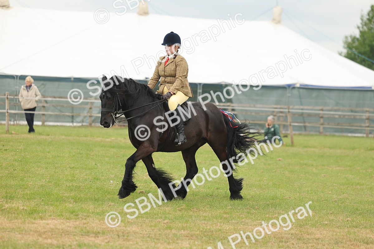 SBM_08956 - Class 78-80 - Ridden M&M Non Welsh Ponies
