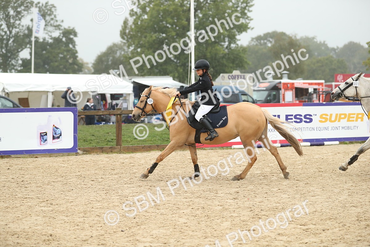 SBM_74140 - J16 - Junior Pony 75cm Championship
