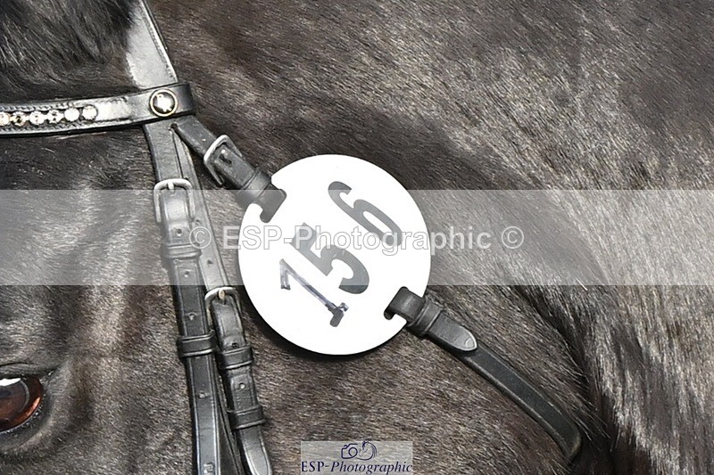 241214-133146-02467 - 156-Jo.Roberts-MajesticC