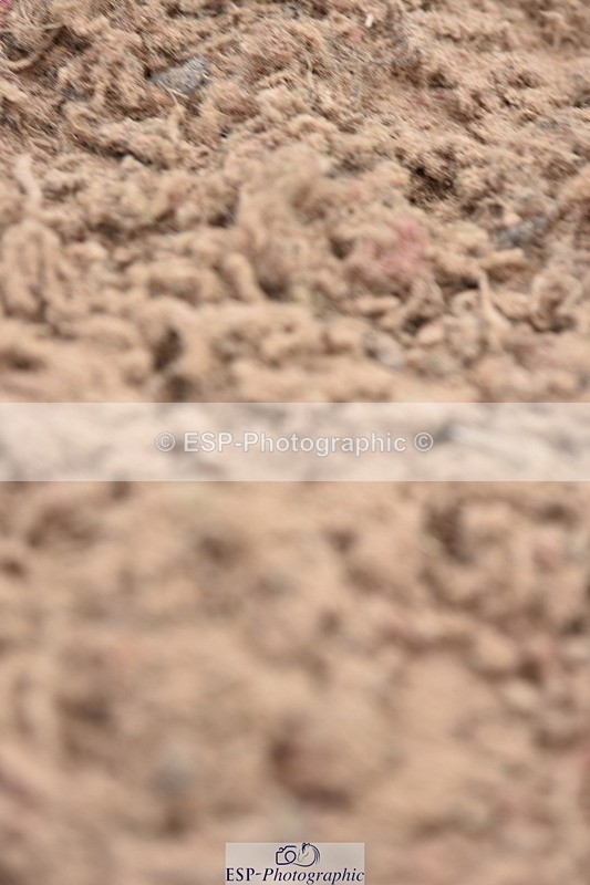 230812A-123214-09258 - Cls 27 85cm Amateur Qualifier