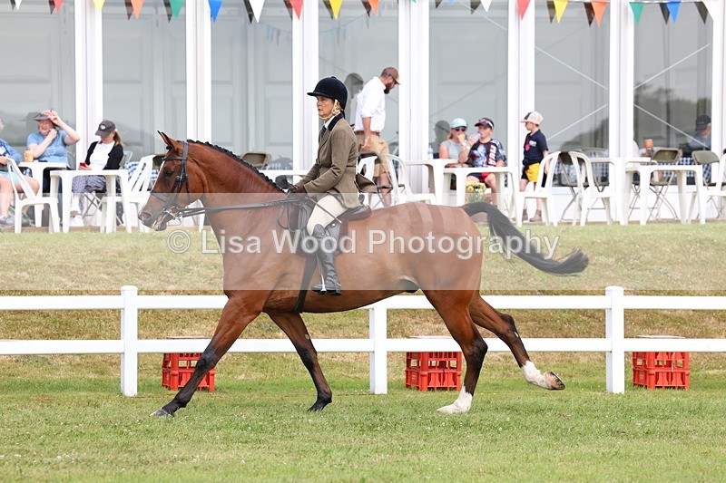 3E7A9327 - Class 4: Rising Star M/H Hunter