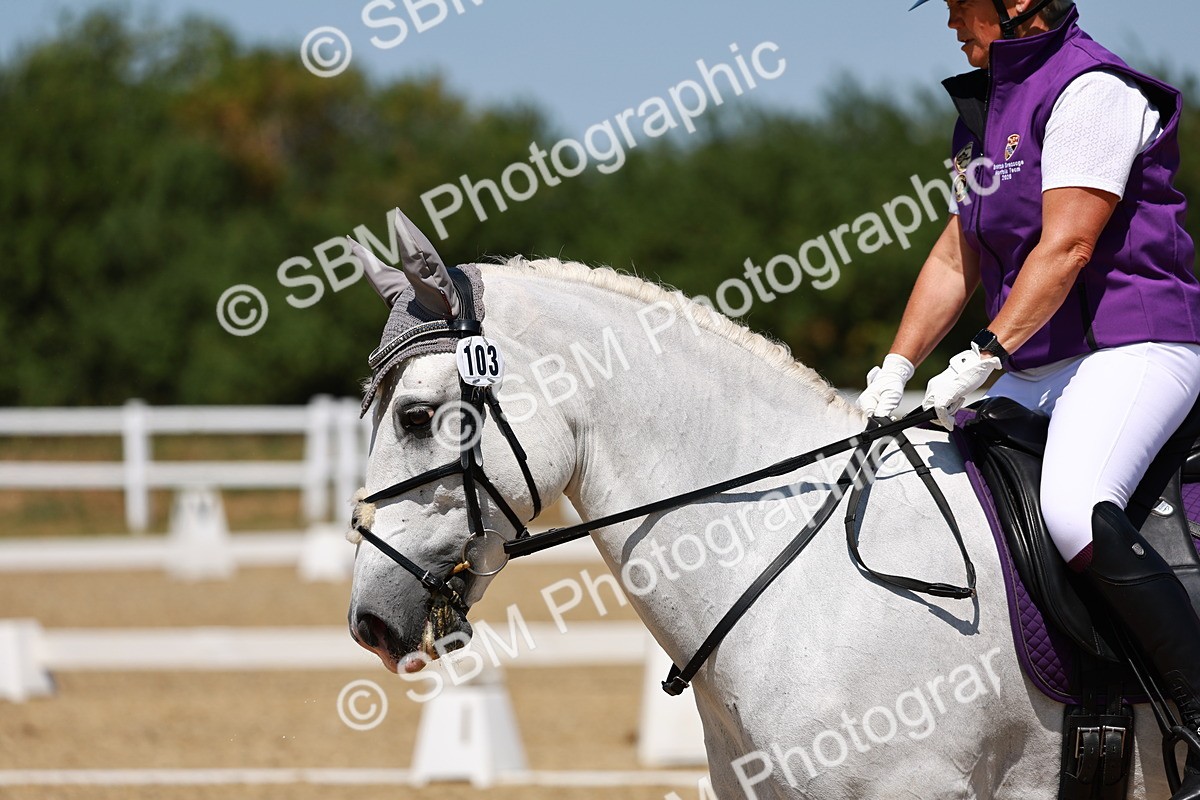 SBM_011591