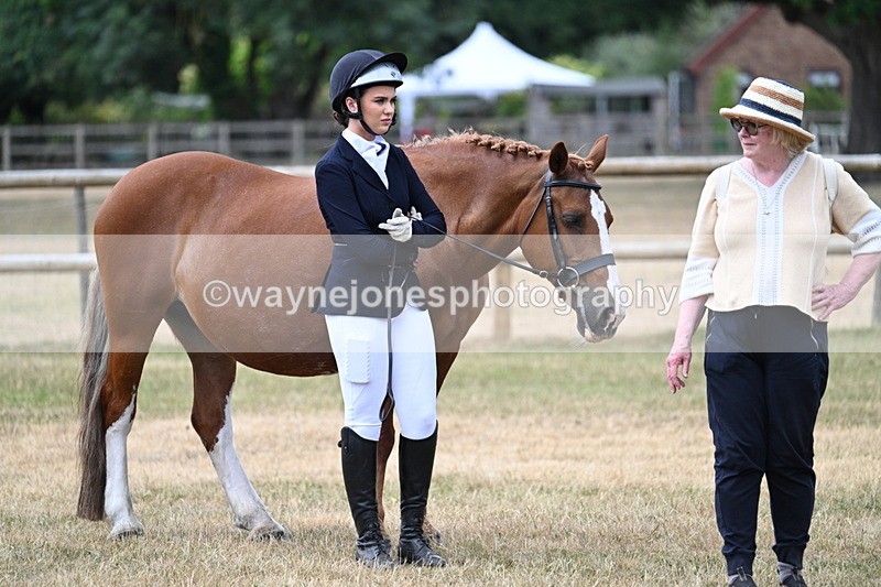 WJ7_1889 - Class 4a Prettiest Mare 14.2hh and over hand