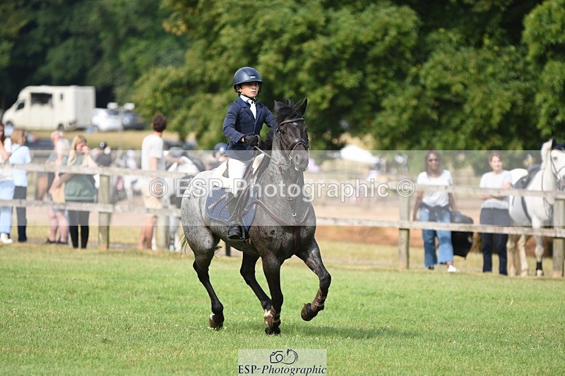 230617-093808-01611 - Cls 15 British Novice & 80cm Open