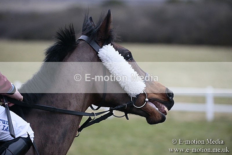 PtP 180218 710 - Combined Services Point-to-Point Larkhill 18/02/18