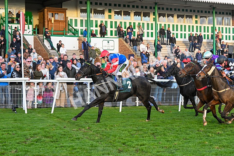 291024-Race 7-Crocodile Power-6500 - Race 7