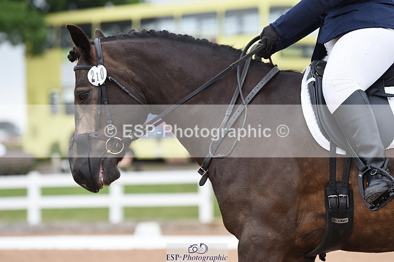 230708A-113726-01622 - Prelim 7