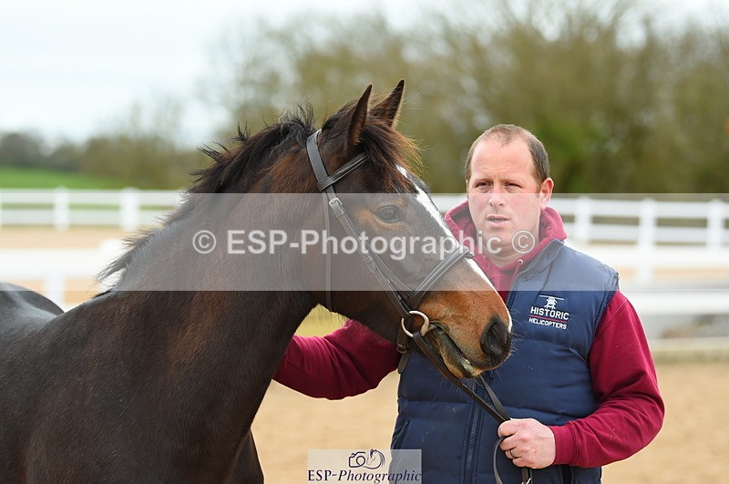 230416A-140434-04734 - Cls 46+43 In Hand Warmbloods and Foreign